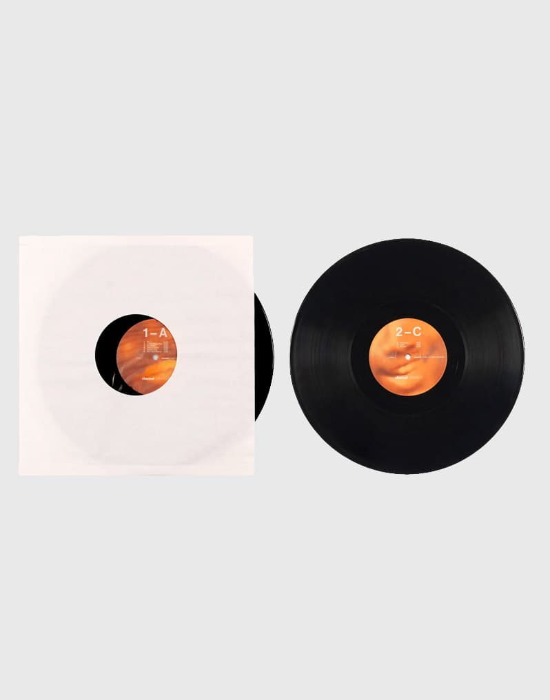 Frank Ocean - Channel Orange (2x LP) - image 3